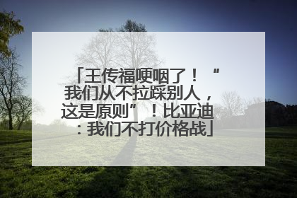 王传福哽咽了！“我们从不拉踩别人，这是原则”！比亚迪：我们不打价格战
