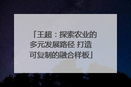 王超：探索农业的多元发展路径 打造可复制的融合样板