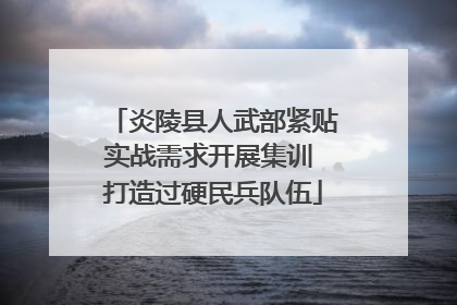 炎陵县人武部紧贴实战需求开展集训 打造过硬民兵队伍