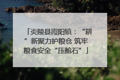 炎陵县霞阳镇：“耕”新聚力护粮仓 筑牢粮食安全“压舱石”