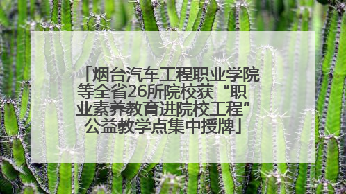 烟台汽车工程职业学院等全省26所院校获“职业素养教育进院校工程”公益教学点集中授牌
