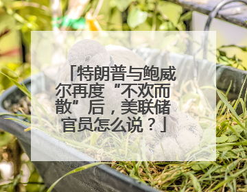 特朗普与鲍威尔再度“不欢而散”后，美联储官员怎么说？