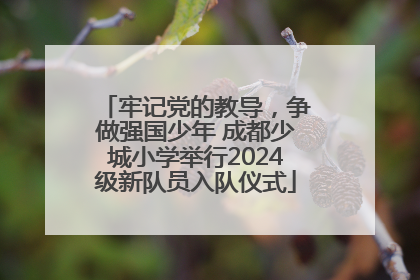 牢记党的教导，争做强国少年 成都少城小学举行2024级新队员入队仪式