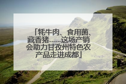 牦牛肉、食用菌、藏香猪……这场产销会助力甘孜州特色农产品走进成都