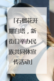 石榴花开耀白塔，新街口举办民族共同体宣传活动