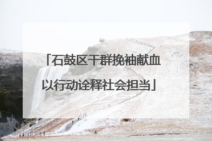 石鼓区干群挽袖献血 以行动诠释社会担当