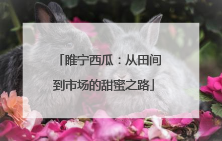 睢宁西瓜：从田间到市场的甜蜜之路