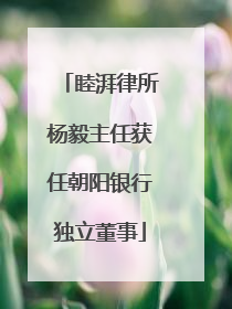 睦湃律所杨毅主任获任朝阳银行独立董事