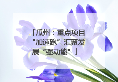 瓜州：重点项目“加速跑”汇聚发展“强动能”