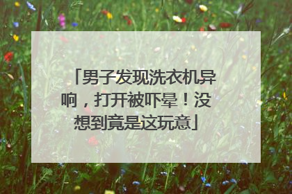 男子发现洗衣机异响，打开被吓晕！没想到竟是这玩意