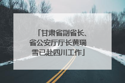 甘肃省副省长、省公安厅厅长黄瑞雪已赴四川工作