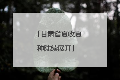 甘肃省夏收夏种陆续展开