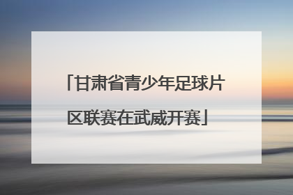甘肃省青少年足球片区联赛在武威开赛