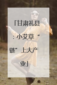 甘肃礼县：小艾草“链”上大产业