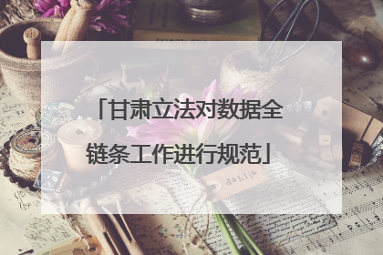 甘肃立法对数据全链条工作进行规范
