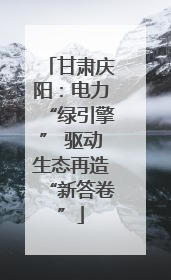 甘肃庆阳：电力“绿引擎” 驱动生态再造“新答卷”