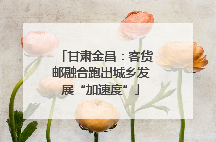 甘肃金昌：客货邮融合跑出城乡发展“加速度”