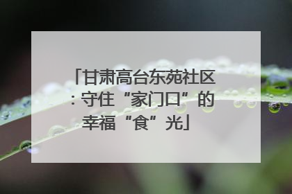 甘肃高台东苑社区：守住“家门口”的幸福“食”光