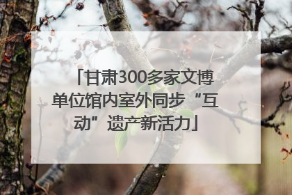甘肃300多家文博单位馆内室外同步“互动”遗产新活力