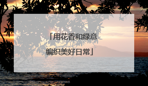 用花香和绿意编织美好日常