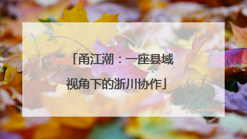 甬江潮：一座县域视角下的浙川协作