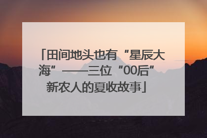 田间地头也有“星辰大海”——三位“00后”新农人的夏收故事