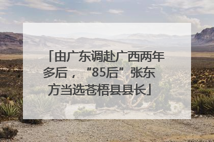 由广东调赴广西两年多后，“85后”张东方当选苍梧县县长