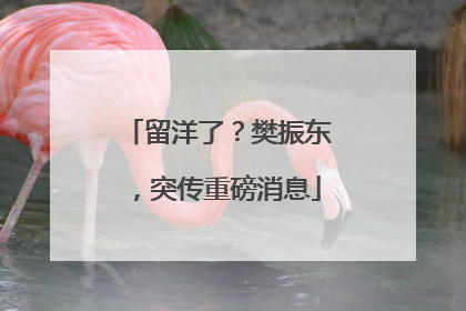 留洋了？樊振东，突传重磅消息