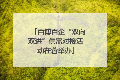 百博百企“双向双进”供需对接活动在蓉举办