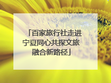 百家旅行社走进宁夏同心共探文旅融合新路径