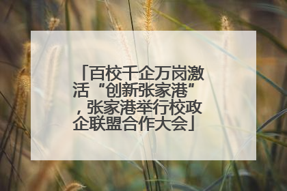 百校千企万岗激活“创新张家港”，张家港举行校政企联盟合作大会