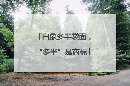 白象多半袋面，“多半”是商标