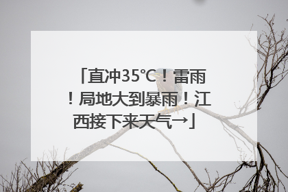 直冲35℃！雷雨！局地大到暴雨！江西接下来天气→