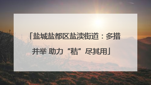 盐城盐都区盐渎街道：多措并举 助力“秸”尽其用