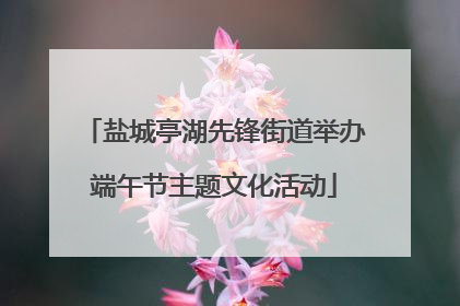 盐城亭湖先锋街道举办端午节主题文化活动