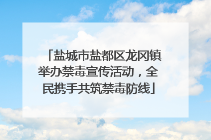 盐城市盐都区龙冈镇举办禁毒宣传活动，全民携手共筑禁毒防线