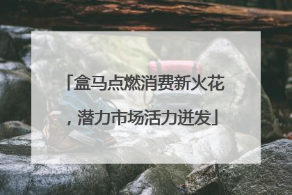盒马点燃消费新火花，潜力市场活力迸发