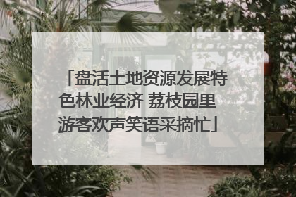 盘活土地资源发展特色林业经济 荔枝园里游客欢声笑语采摘忙