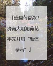 盛夏荷香浓！济南大明湖荷花率先开启“颜值暴击”