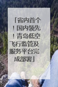 省内首个！国内领先！青岛低空飞行监管及服务平台完成部署