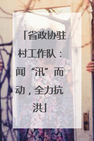 省政协驻村工作队：闻“汛”而动，全力抗洪