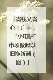 省钱又省心！广丰：“小电驴”市场掀起以旧换新潮（图）