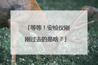 等等！安检仪刚刚过去的是啥？