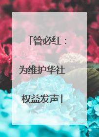 管必红：为维护华社权益发声