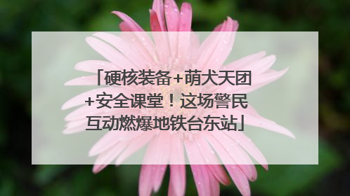 硬核装备+萌犬天团+安全课堂！这场警民互动燃爆地铁台东站