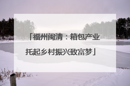福州闽清：箱包产业托起乡村振兴致富梦