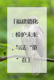 福建德化：检护未来，与法“童”在