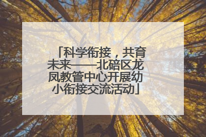 科学衔接，共育未来——北碚区龙凤教管中心开展幼小衔接交流活动