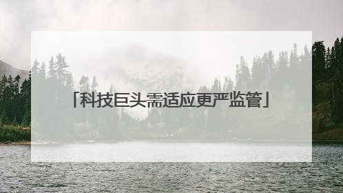 科技巨头需适应更严监管