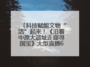 科技赋能文物“活”起来！《沿着中原大遗址走廊寻国宝》大型直播6月14日启幕